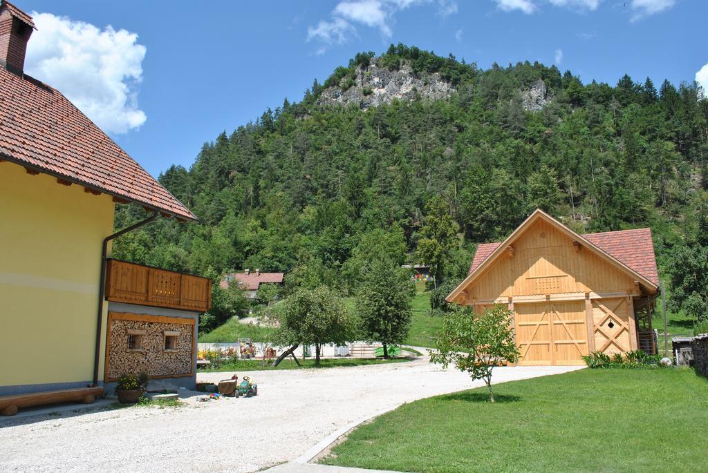 Bauernhof Povsin *